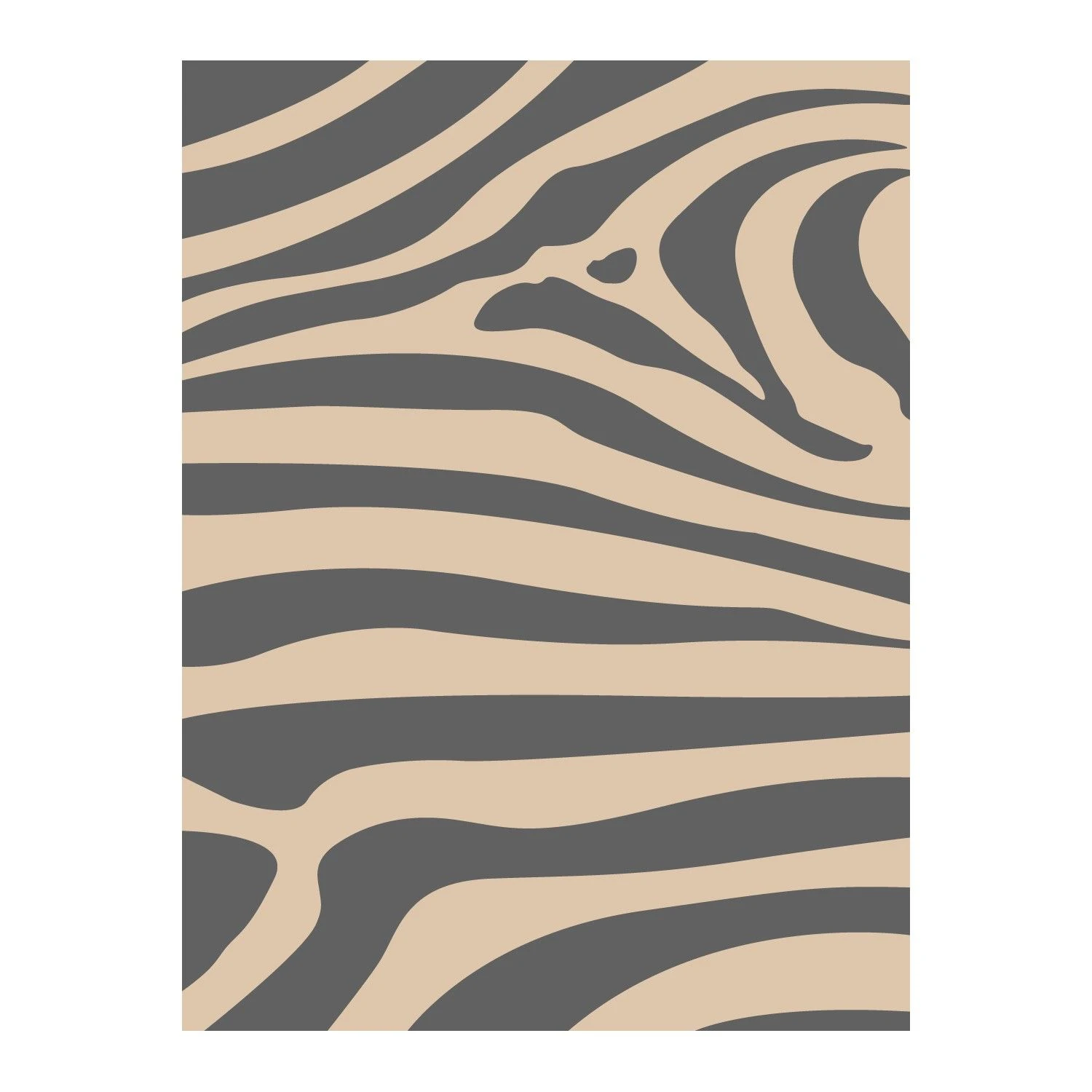 Safarica Safarimat Tenttapijt 270 X 500 Zebra Beige 6 Safarica Safarimat Tenttapijt 270 X 500 Zebra Beige - Afbeelding 4